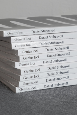 Daniel Stubenvoll